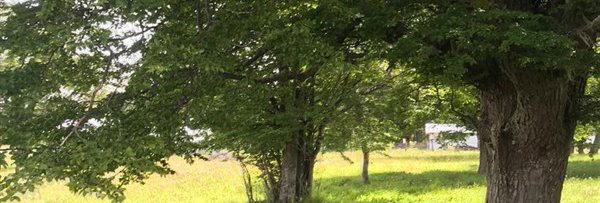 Parcela en Venta en HERMOSA PARCELA CERCA DE COYHAIQUE