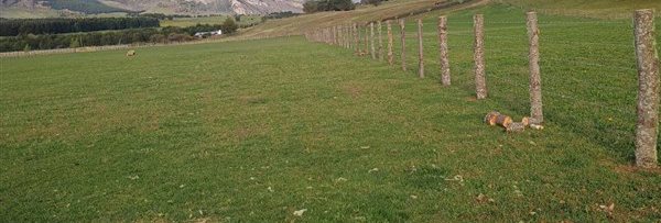 Parcela en Venta en Hermosa parcela de 5000 m2 en Ensenada, Valle Simpson.