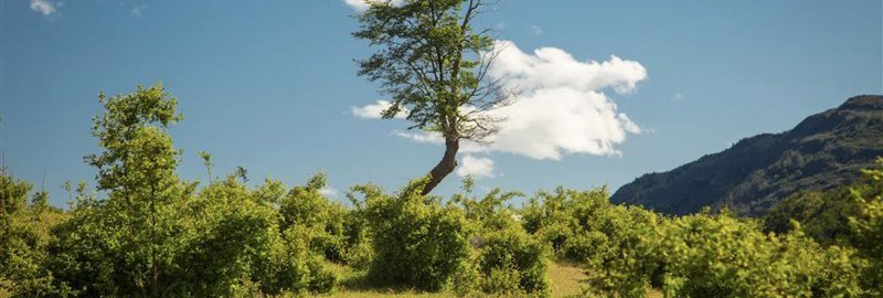 Lot for Sale in Patagonia, Baker River