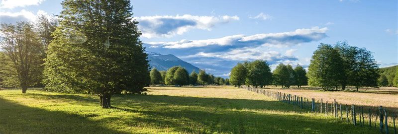 Lot for Sale in AGUAS DEL BLANCO, 25 Minutes from Balmaceda Airport, Aysén Region