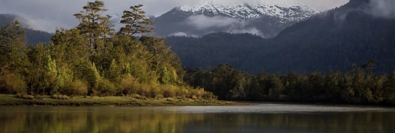 Lot for Sale: Large Lots Starting at 25,000 m² with Waterfront Access in the Exclusive Aysén Fjord