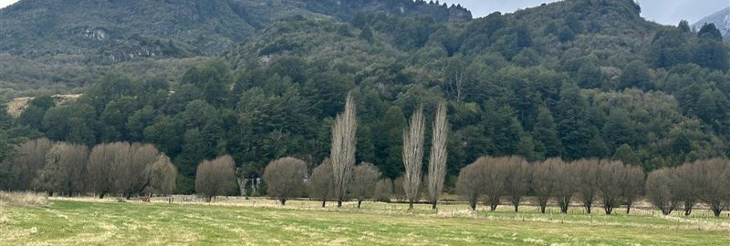 Lot for Sale: BEAUTIFUL LOT IN MAÑIHUALES, NEXT TO ROUTE 7 (CARRETERA AUSTRAL)