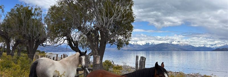 Lot for Sale: BEAUTIFUL LOT NEAR PUERTO GAUDAL, CHILE CHICO