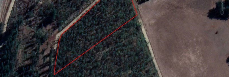 Lot for Sale in CHOLCHOL—ON THE ROAD TO GALVARINO