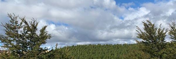 Lot for Sale in VILLA EL BLANCO, COYHAIQUE