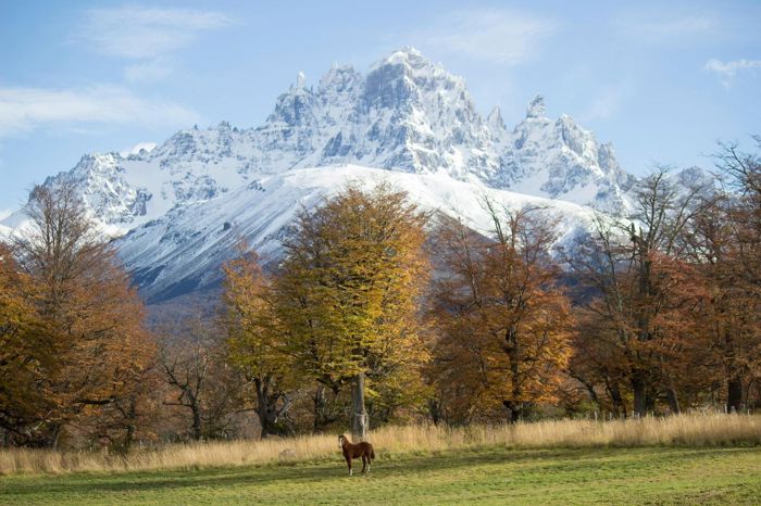 Land for sale in Aysén
