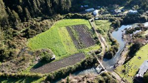 1,02 ha con 46 m de ribera al Río Cobquecura – El Molino, Ñuble, Cobquecura, foto 6