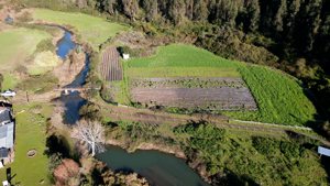 1,02 ha con 46 m de ribera al Río Cobquecura – El Molino, Ñuble, Cobquecura, foto 7