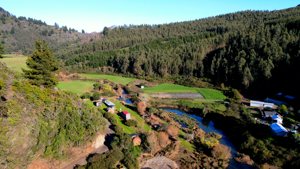 1,02 ha con 46 m de ribera al Río Cobquecura – El Molino, Ñuble, Cobquecura, foto 5