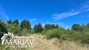 Vende parcela ubicada en sector kolpin a minutos de la zona urbana de Villarrica, La Araucanía, Villarrica, foto 3
