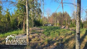 vende parcela rural a minutos de la zona urbana de Villarrica, La Araucanía, Villarrica, foto 2