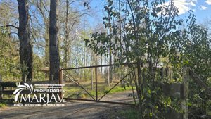 Vende parcela rural a 4,5 km de la zona urbana de Villarrica, La Araucanía, Villarrica, foto 7