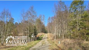 Vende parcela rural a 4,5 km de la zona urbana de Villarrica, La Araucanía, Villarrica, foto 4