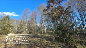 Vende parcela rural a 4,5 km de la zona urbana de Villarrica, La Araucanía, Villarrica, foto 2