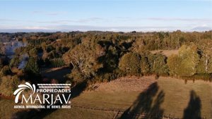Vende campo a solo 20 minutos de la zona urbana de Villarrica, La Araucanía, Villarrica, foto 2