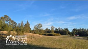 Vende campo a solo 20 minutos de la zona urbana de Villarrica, La Araucanía, Villarrica, foto 5