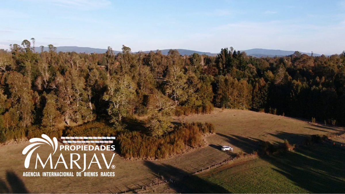 Vende campo a solo 20 minutos de la zona urbana de Villarrica, La Araucanía, Villarrica