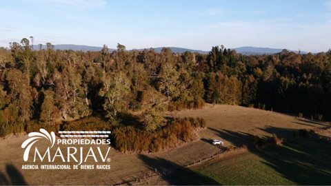 Vende campo a solo 20 minutos de la zona urbana de Villarrica