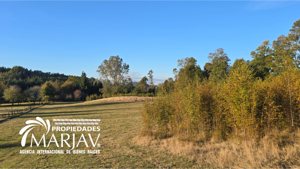 Vende campo a solo 20 minutos de la zona urbana de Villarrica, La Araucanía, Villarrica, foto 7