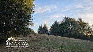 Vende campo a solo 20 minutos de la zona urbana de Villarrica, La Araucanía, Villarrica, foto 4