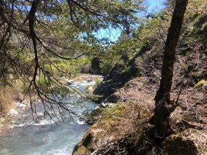 10 HECTÁREAS CON RIBERA DEL RÍO ACHIBUENO – ALTA CORDILLERA DE LINARES, CHILE, Maule, Linares, foto 10