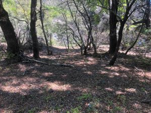10 HECTÁREAS CON RIBERA DEL RÍO ACHIBUENO – ALTA CORDILLERA DE LINARES, CHILE, Maule, Linares, foto 11
