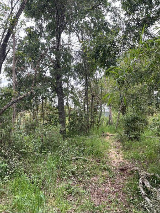 Parcela de 4 hectáreas con bosque nativo, cerca de laguna y río, Teodoro Schmidt, La Araucanía, Teodoro Schmidt