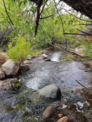 Chacra de 58 hectáreas en Alto Río Percey - Esquel, Chubut, Esquel, foto 9