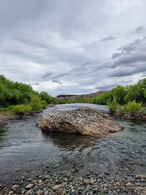 Chacra de 58 hectáreas en Alto Río Percey - Esquel, Chubut, Esquel, foto 11