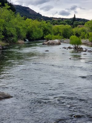 Chacra de 58 hectáreas en Alto Río Percey - Esquel, Chubut, Esquel, foto 7