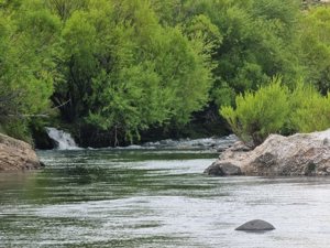 Chacra de 58 hectáreas en Alto Río Percey - Esquel, Chubut, Esquel, foto 8