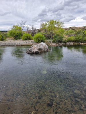 Chacra de 58 hectáreas en Alto Río Percey - Esquel, Chubut, Esquel, foto 10