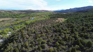 Chacra de 58 hectáreas en Alto Río Percey - Esquel, Chubut, Esquel, foto 6