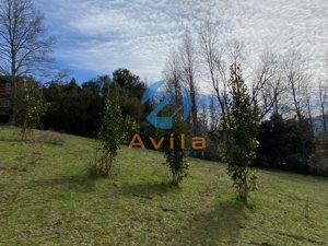 PUCON parcela de media hectárea en sector los Calabozos (zona verde) COD.VTAP264, La Araucanía, Pucón, foto 5