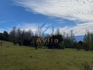 PUCON parcela de media hectárea en sector los Calabozos (zona verde) COD.VTAP264, La Araucanía, Pucón, foto 2