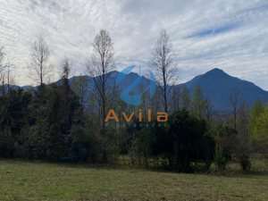 PUCON parcela de media hectárea en sector los Calabozos (zona verde) COD.VTAP264, La Araucanía, Pucón, foto 4