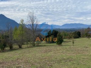 PUCON parcela de media hectárea en sector los Calabozos (zona verde) COD.VTAP264, La Araucanía, Pucón, foto 3
