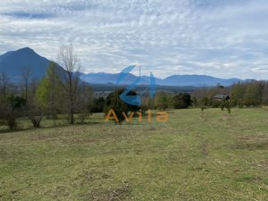 PUCON parcela de media hectárea en sector los Calabozos (zona verde) COD.VTAP264, La Araucanía, Pucón, foto 6