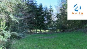 PUCÓN HUIFE Parcela 5.000m2 Condominio Trufulco COD.VTAP245, La Araucanía, Pucón, foto 11