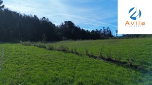PUCÓN HUIFE Parcela 5.000m2 Condominio Trufulco COD.VTAP245, La Araucanía, Pucón, foto 15