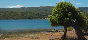 Chacras de 10 hectáreas sobre el Lago Rosario, Chubut, Trevelin, foto 6