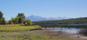 Chacras de 10 hectáreas sobre el Lago Rosario, Chubut, Trevelin, foto 10