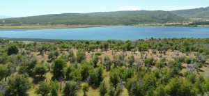 Chacras de 10 hectáreas sobre el Lago Rosario, Chubut, Trevelin, foto 8