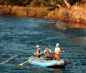 2.500 hectáreas sobre el Río Corcovado, Chubut, Trevelin, foto 9
