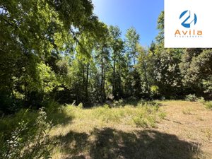 Curarrehue sector Carén Añihuarraqui venta parcela con acceso a río Trancura COD.VTAP144, La Araucanía, Curarrehue, foto 14