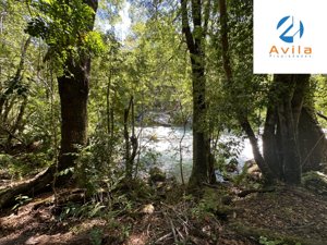 Curarrehue sector Carén Añihuarraqui venta parcela con acceso a río Trancura COD.VTAP144, La Araucanía, Curarrehue, foto 11