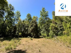 Curarrehue sector Carén Añihuarraqui venta parcela con acceso a río Trancura COD.VTAP144, La Araucanía, Curarrehue, foto 15