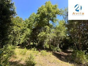 Curarrehue sector Carén Añihuarraqui venta parcela con acceso a río Trancura COD.VTAP144, La Araucanía, Curarrehue, foto 5