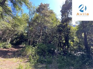 Curarrehue sector Carén Añihuarraqui venta parcela con acceso a río Trancura COD.VTAP144, La Araucanía, Curarrehue, foto 6