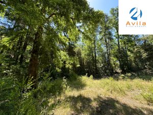 Curarrehue sector Carén Añihuarraqui venta parcela con acceso a río Trancura COD.VTAP144, La Araucanía, Curarrehue, foto 9